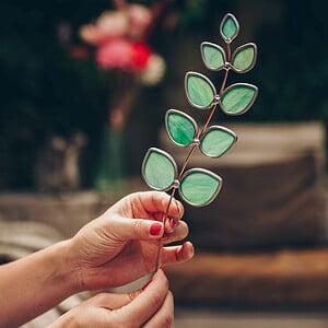 Glazen Eucalyptus