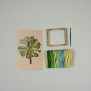 Groen Vetplant DIY Weefpakket Klein