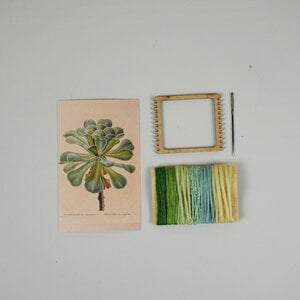 Groen Vetplant DIY Weefpakket Klein