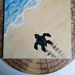 Schilderij Schildpad
