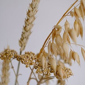 Neutraal Herfts Droogbloemen  Boeket