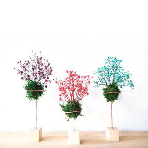Alternative view of Mini-kokedama Brievenbuscadeau met wenskaart