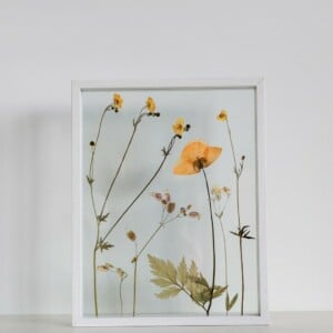 Alternative view of Klaproos & Botterbloem Zomer Bloemen Wit Lijst Groot