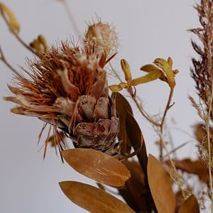 Protea & Hortensia Droogbloem Boeket