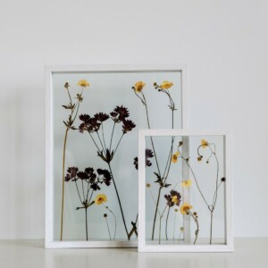 Geel Botterbloem en Paars Astrantia Wit Lijst Groot