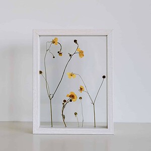 Zomer Botterbloemen Wit Lijst