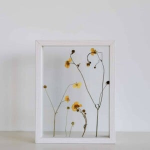 Zomer Botterbloemen Wit Lijst