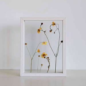 Zomer Botterbloemen Wit Lijst