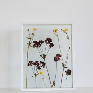 Geel Botterbloem en Paars Astrantia Wit Lijst Groot