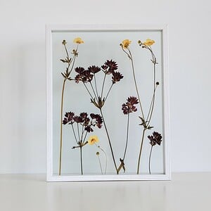 Geel Botterbloem en Paars Astrantia Wit Lijst Groot