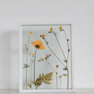 Klaproos & Botterbloem Zomer Bloemen Wit Lijst Groot