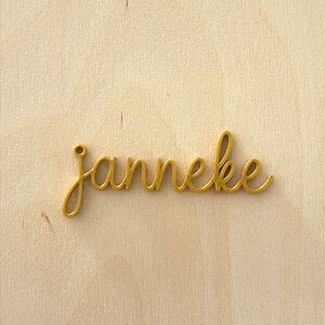 Gepersonaliseerde 3Dprinted hanger voor ketting (ook als pin te bestellen)