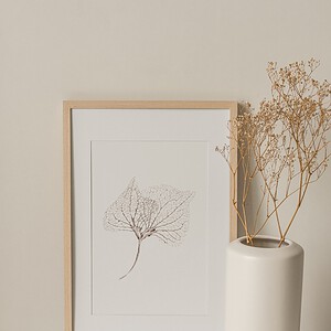 Alternative view of Inkttekening Hortensia bladeren Art Print A4