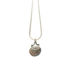 Oceaan ketting schelp zilver