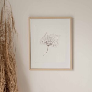 Inkttekening Hortensia bladeren Art Print A4