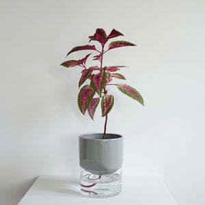 Kapi Groot - Sleek Gray
