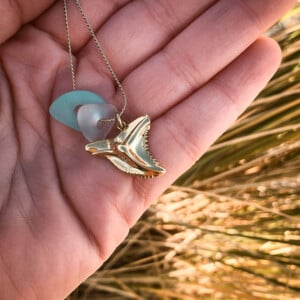 Zeeglas haaientand ketting goud