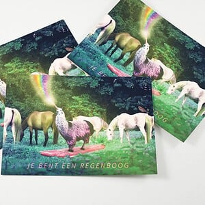 Regenboog Lama / eenhoorn / paarden postkaarten