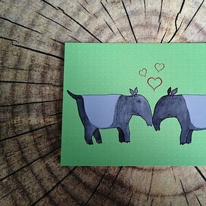 Kaart Tapir love