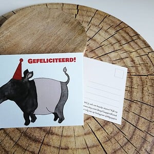 Kaart Tapir ballon