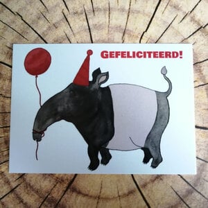 Kaart Tapir ballon