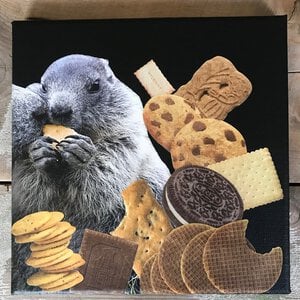 -cookie monster- 20x20x1 cm handgeknipte collage op schildersdoek