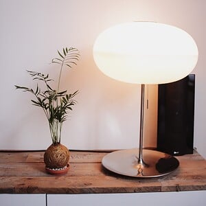 Kokedama - Palmpje
