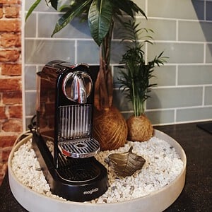 Kokedama - Geldboom