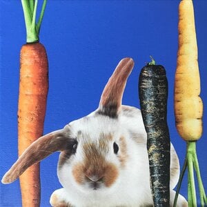 -alweer wortels- 20x20x1 cm handgeknipte collage op schildersdoek