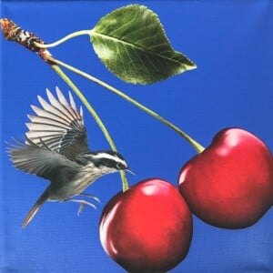 -cherry picker- 20x20x1 cm handgeknipte collage op schildersdoek