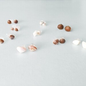 Oorbellen van echte schelpjes