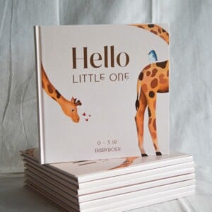 Baby invulboek - Hello little one
