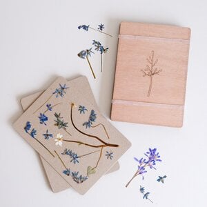 A5 Droog Bloemen Pers DIY Kit