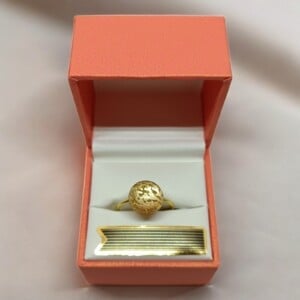 Ring met Gouden Takjesontwerp