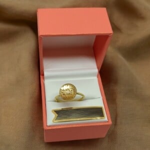 Ring met Gouden Takjesontwerp