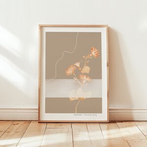 Geboortebloem September Dagbloem Fine Art Print