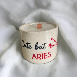 Handgemaakte Keramiek - Sojawaskaars - Schattig maar Ram