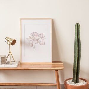 Kunstprint Bloem Roos Fine Art Print