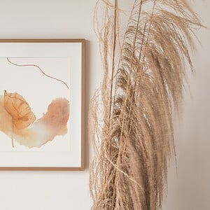 Kunstprint Klaproos Everyday Wonder Fine Art Print