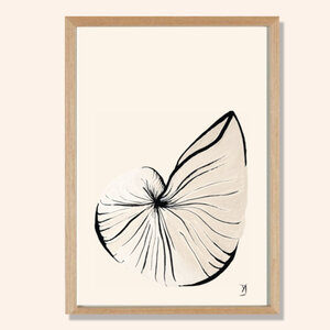 Print Schelp met lijst