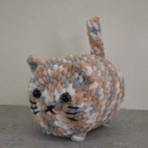 Chunky Cat