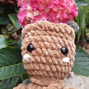 Knuffel 'Groot'