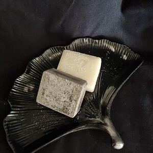 Combideal schaaltje ‘Ginkgo’ zwart zilver + 2 amberblokjes