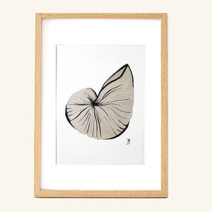 Poster Big shell