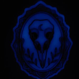 Vogel schedel glow in the dark muur decoratie