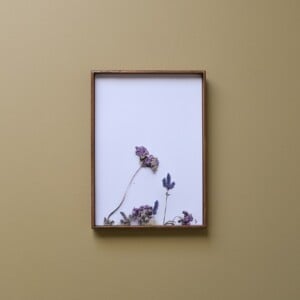 Bloemen Borduurwerk - Paarse bloemen uit Zuid-Afrika