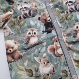 Boxpakje-safari dieren