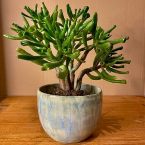 (Planten)potje keramiek lichtblauw gemêleerd handgedraaid 7x8,5cm