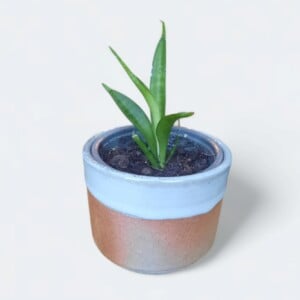 keramieken bloempot met blauw chun glazuur