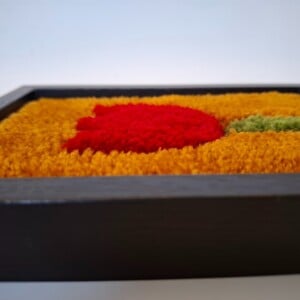 tufted portret van een rode tulp op een goud gele achtergrond Golden hour Tulip